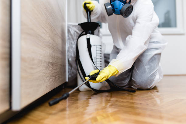 Best Mosquito Control Services  in Bowling Green, MO