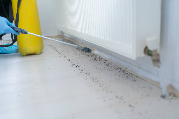Best Commercial Pest Control Services  in Bowling Green, MO